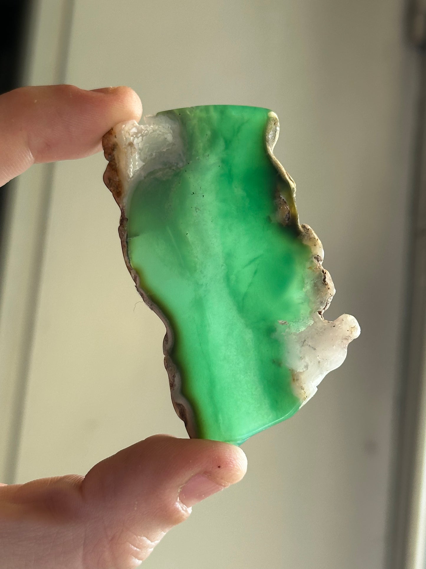 20.65g Polished Australian Gem Chrysoprase Slice 2