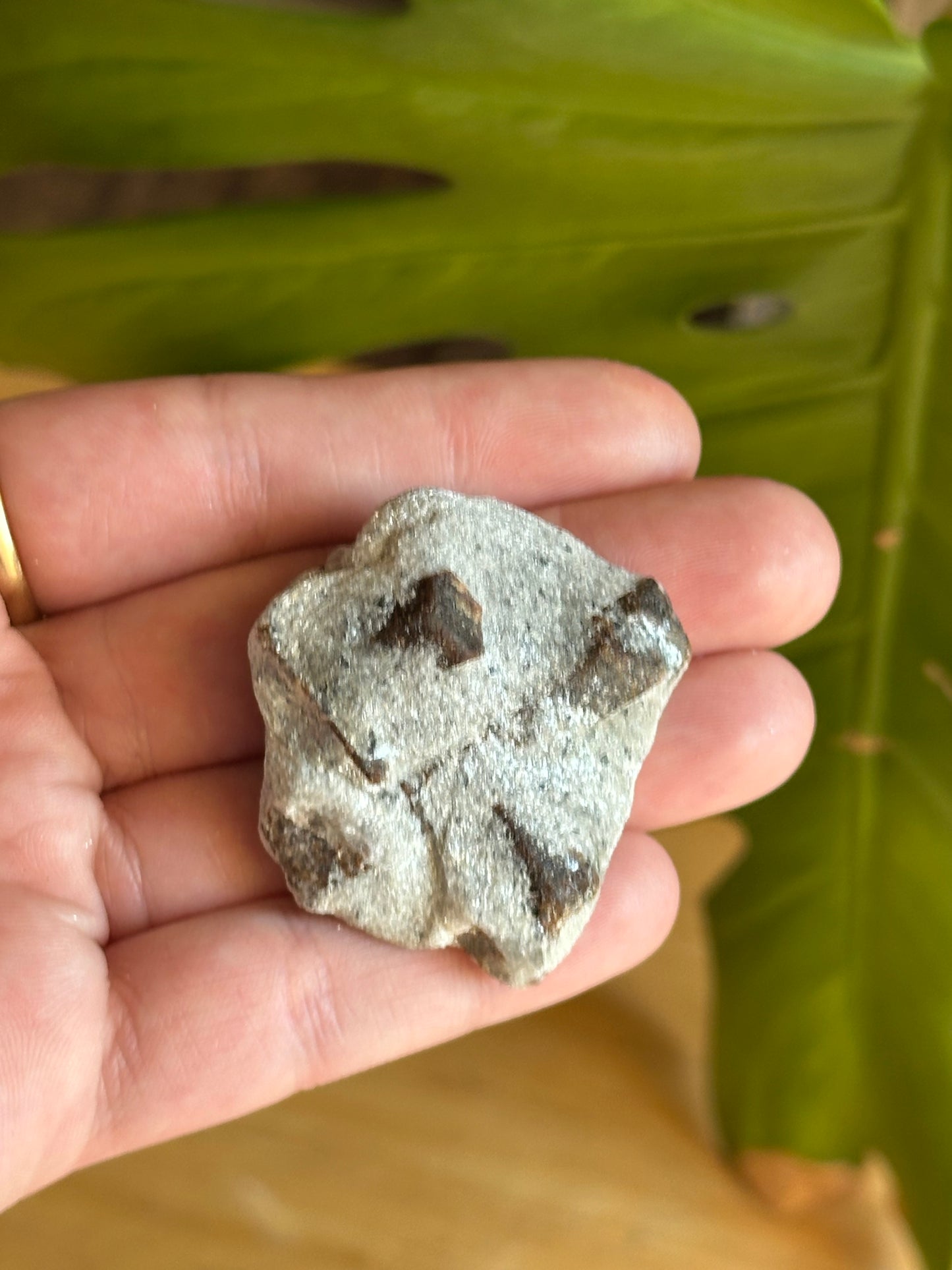 31.36g Rare “St. George’s Cross” Staurolite in Sparkling Mica Schist Matrix