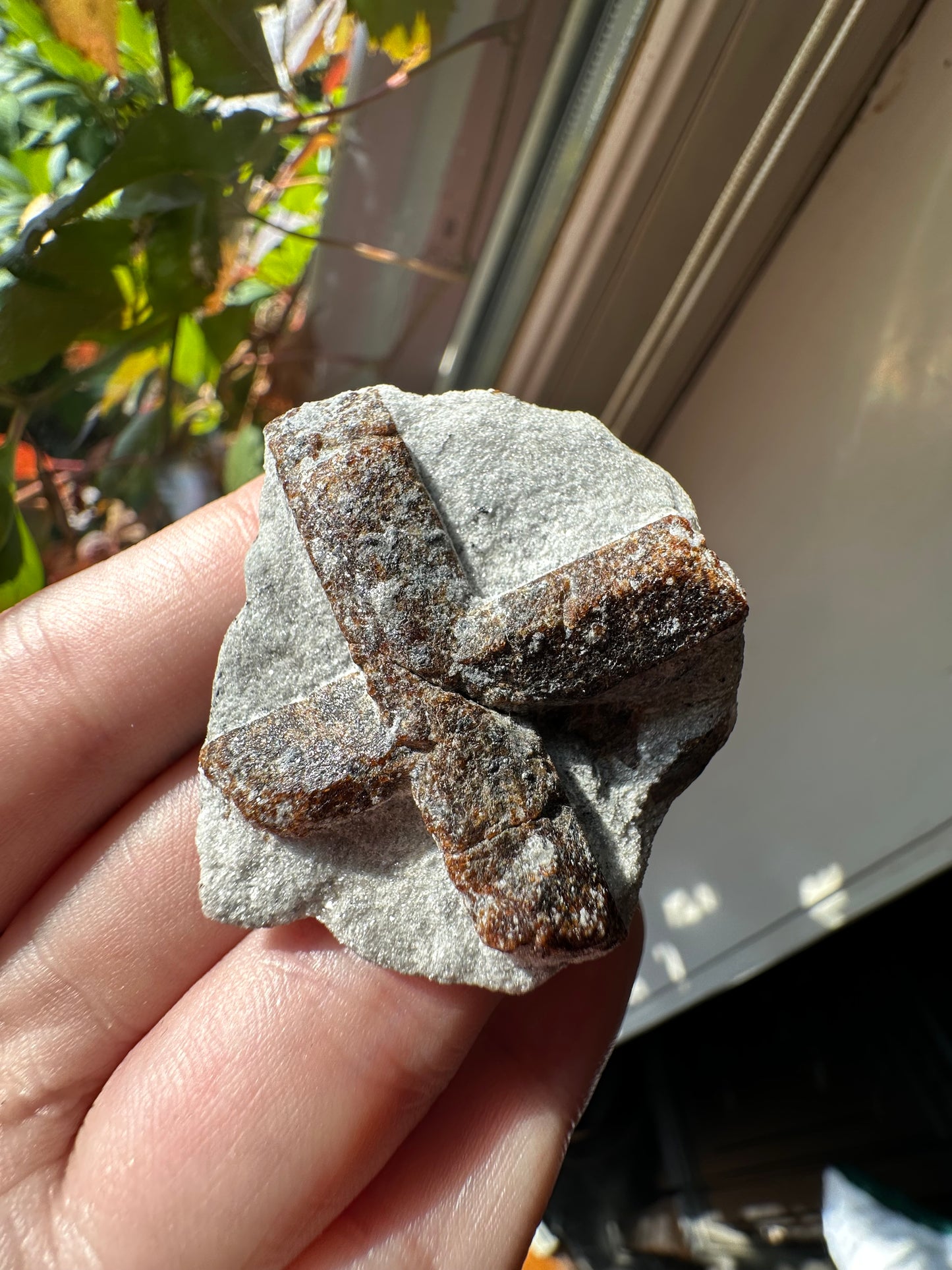 31.36g Rare “St. George’s Cross” Staurolite in Sparkling Mica Schist Matrix