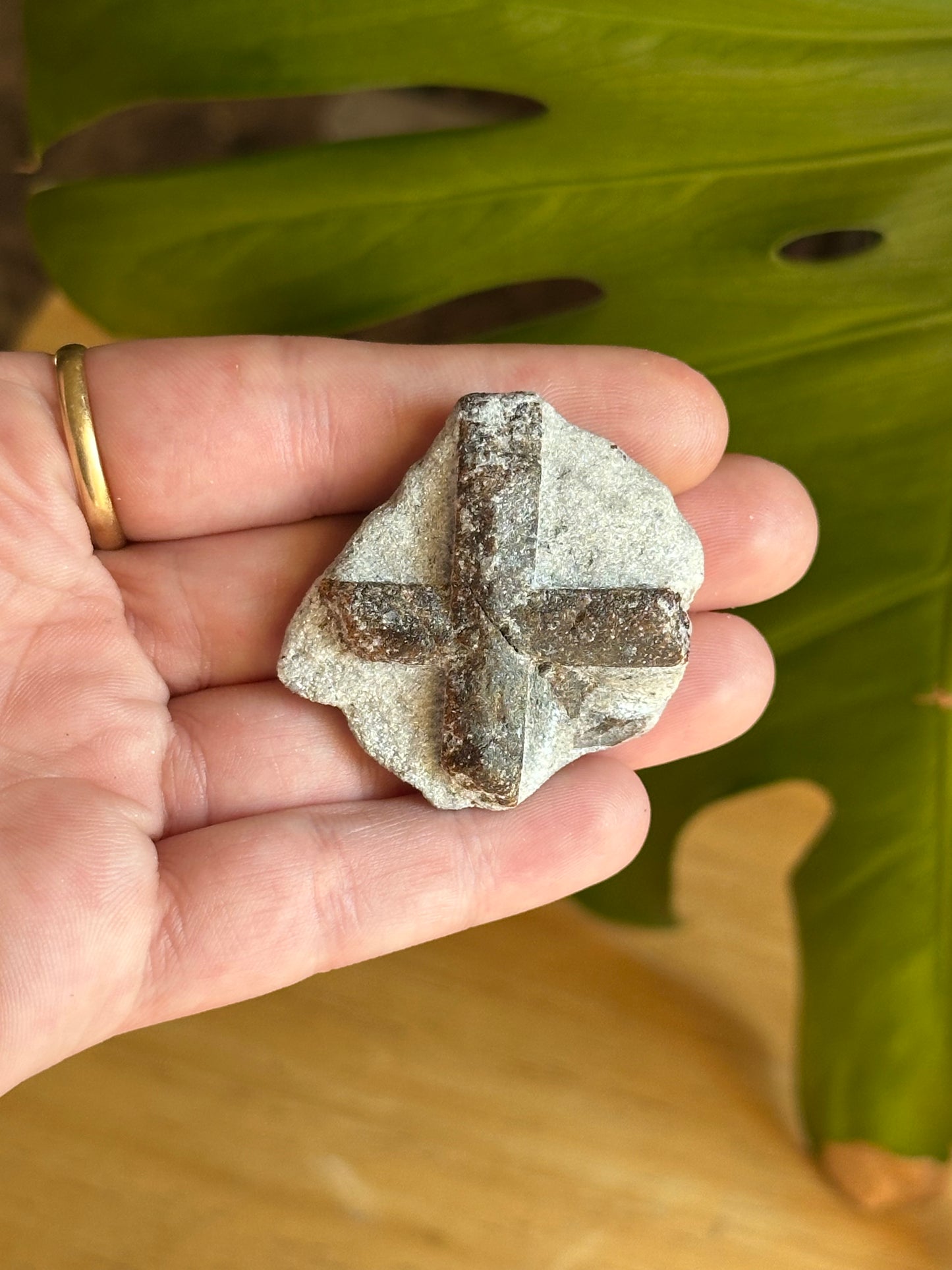31.36g Rare “St. George’s Cross” Staurolite in Sparkling Mica Schist Matrix