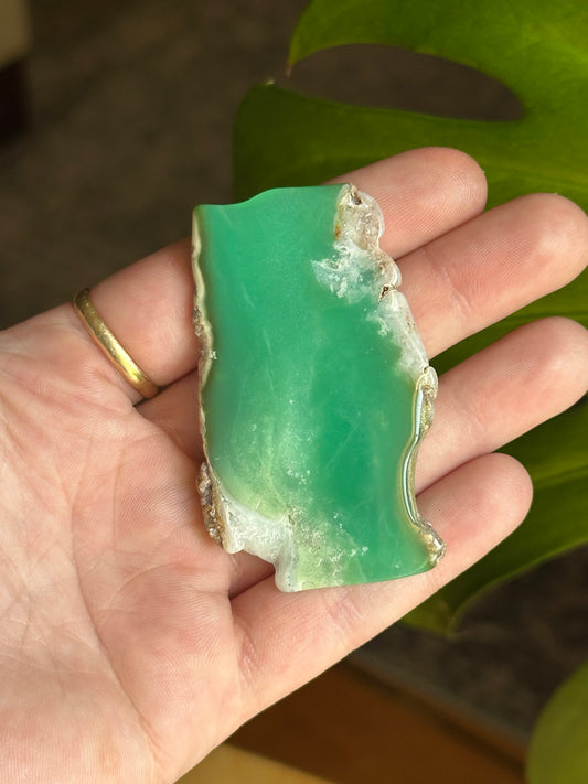 19.85g Polished Australian Gem Chrysoprase Slice 1