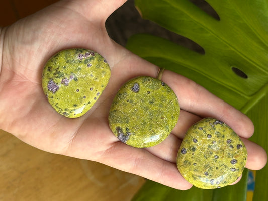 One (1) “Atlantisite” Stichtite in Serpentine Flat Polished Palmstone (randomly selected)