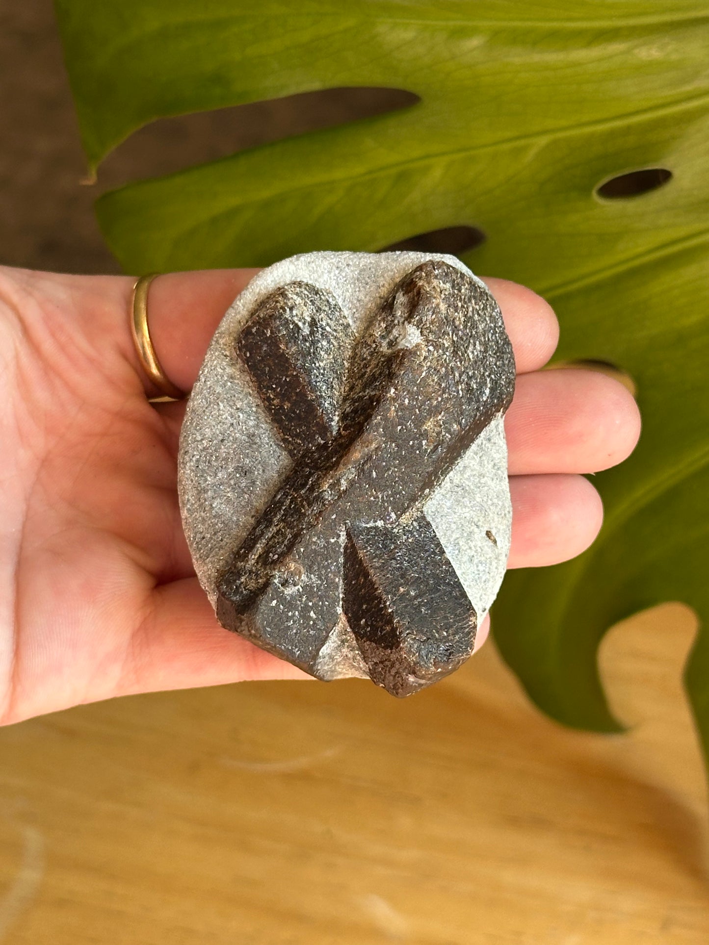 138.3g Rare “St. Andrew’s Cross” Staurolite in Sparkling Mica Schist Matrix