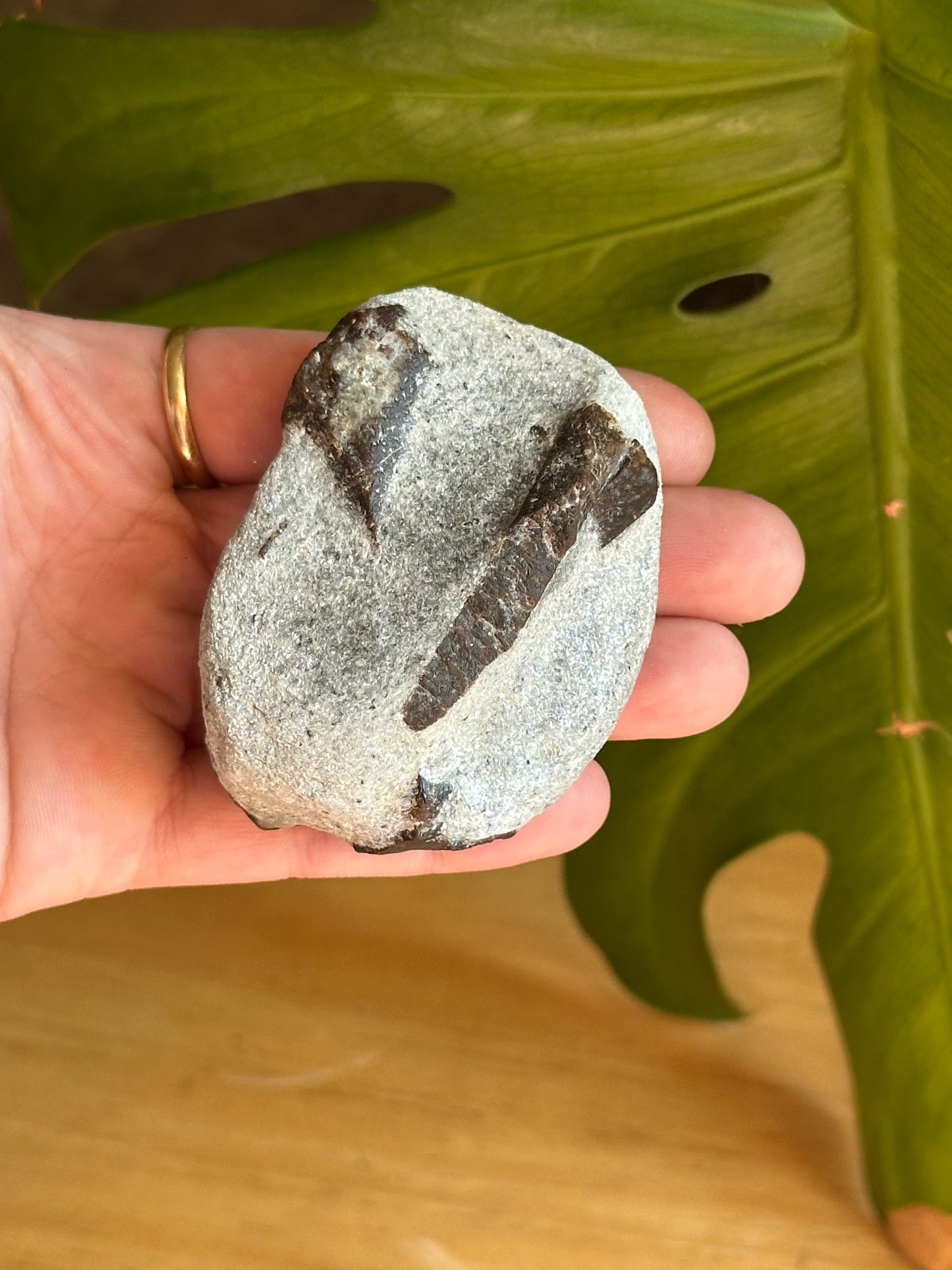 138.3g Rare “St. Andrew’s Cross” Staurolite in Sparkling Mica Schist Matrix