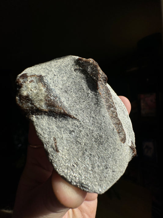 138.3g Rare “St. Andrew’s Cross” Staurolite in Sparkling Mica Schist Matrix