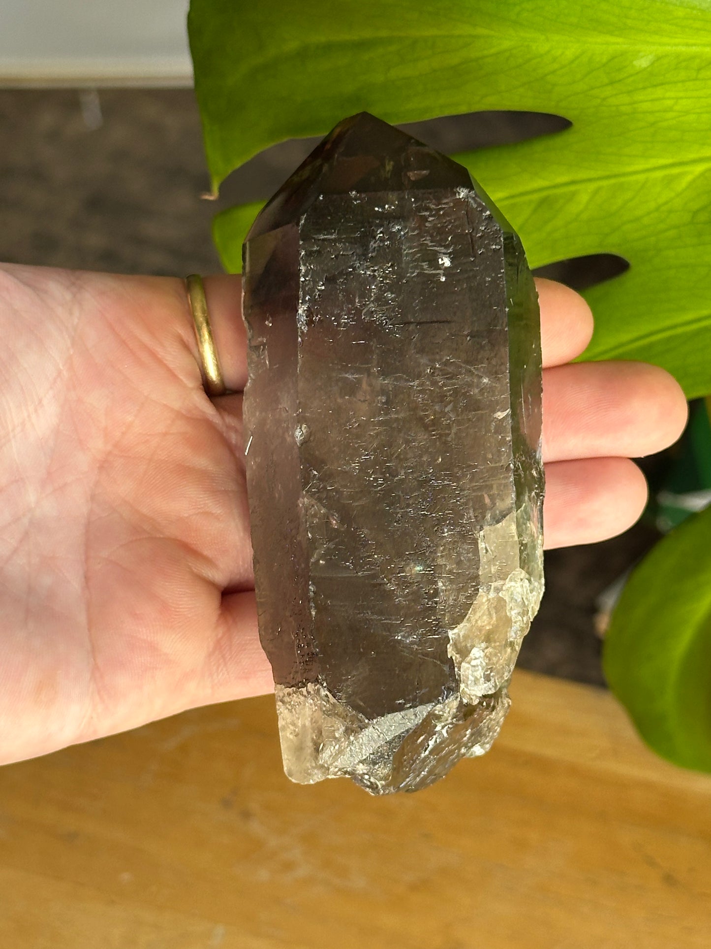 248.5g Raw Natural Brazilian Dark Smoky Quartz Point