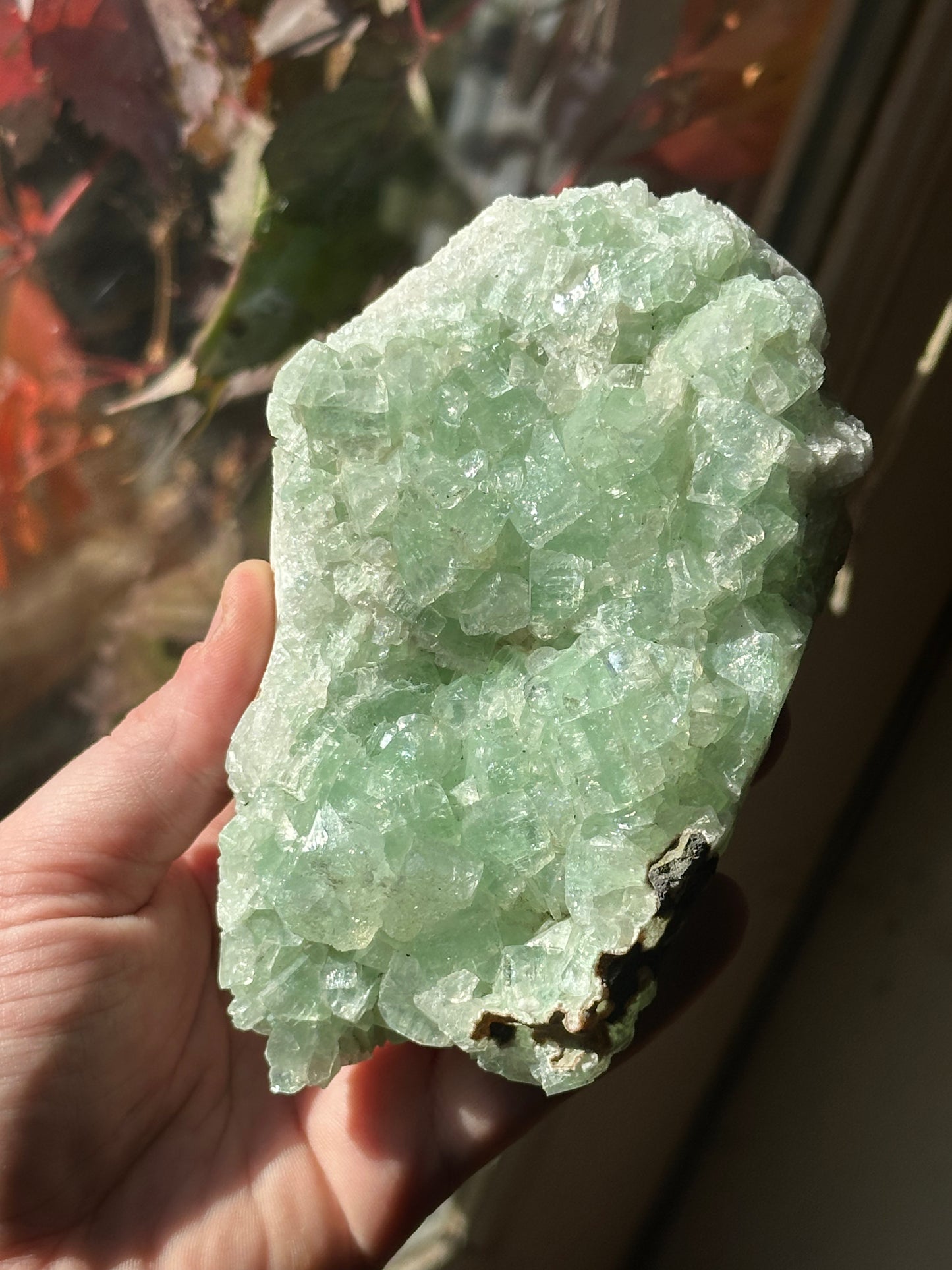 413.4g Raw Green Apophyllite Statement Display Piece