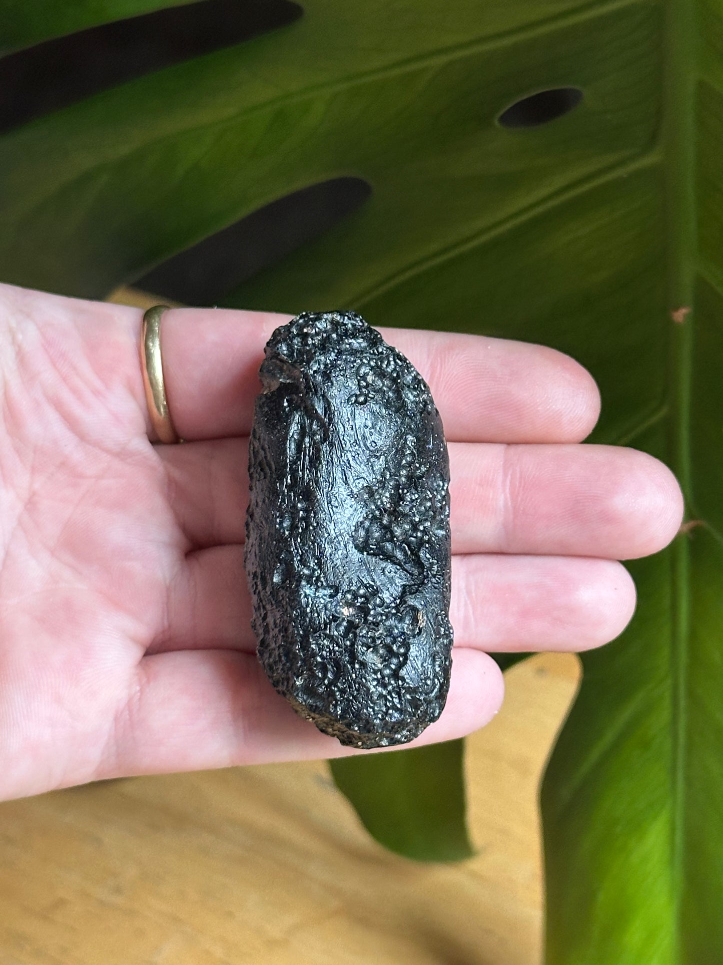 55.44g Raw Natural Indochinite Black Tektite