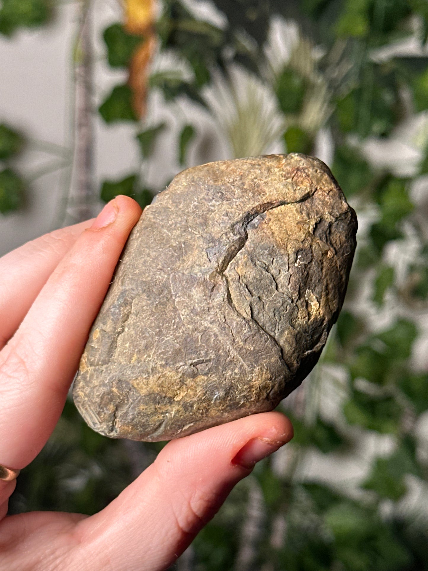 Half-Polished Septarian Nodule 6