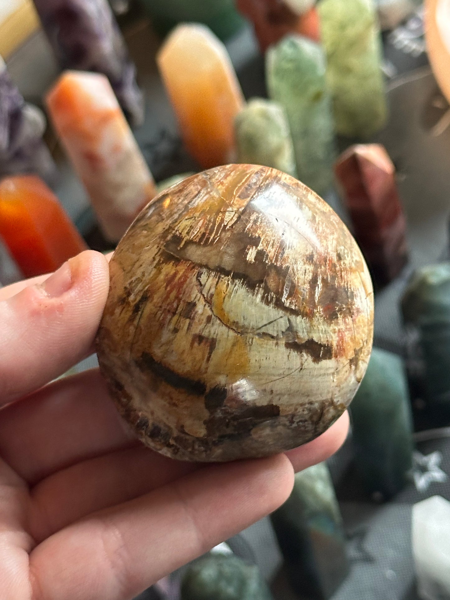 134g Petrified Wood Palmstone