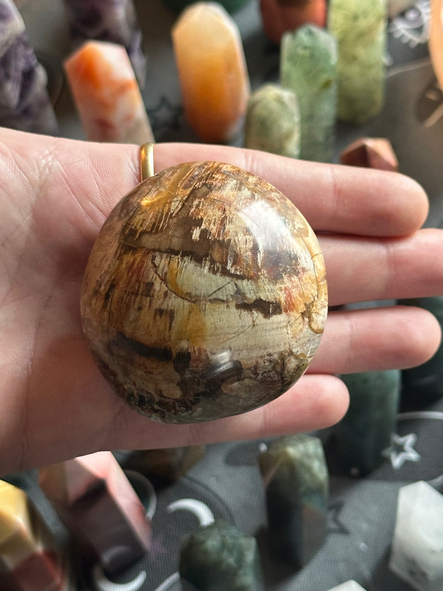 134g Petrified Wood Palmstone