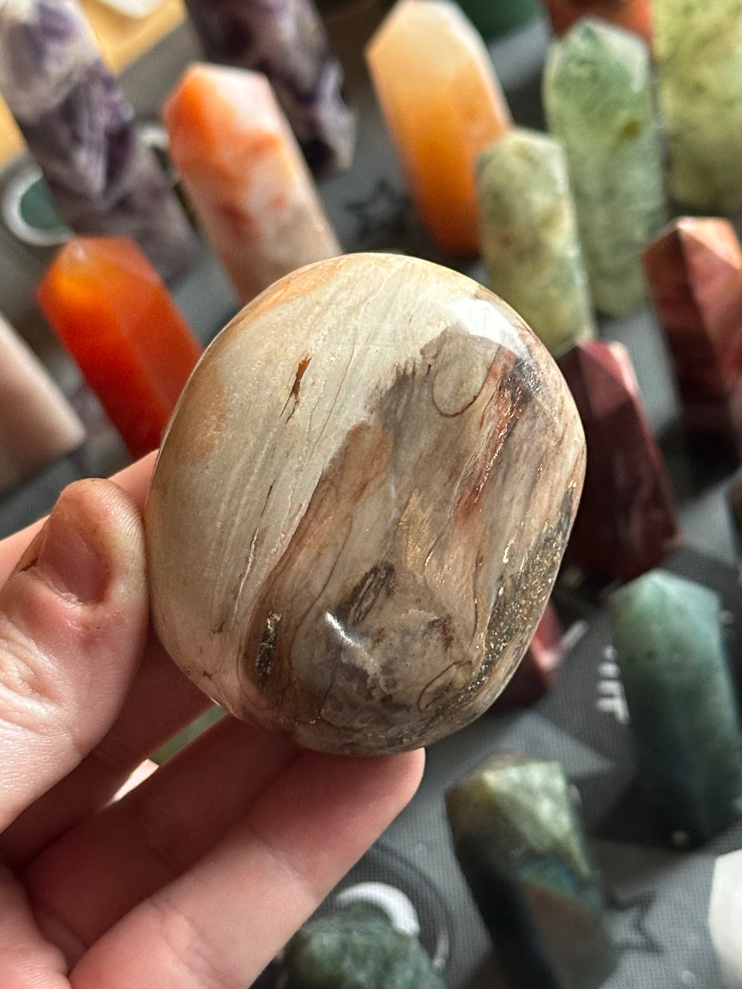 109g Petrified Wood Palmstone