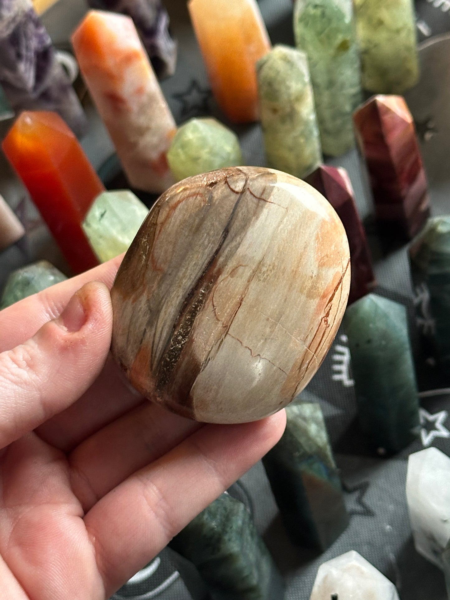 109g Petrified Wood Palmstone