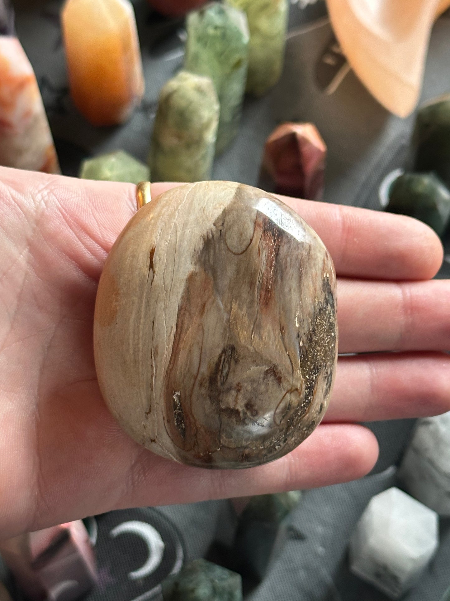 109g Petrified Wood Palmstone