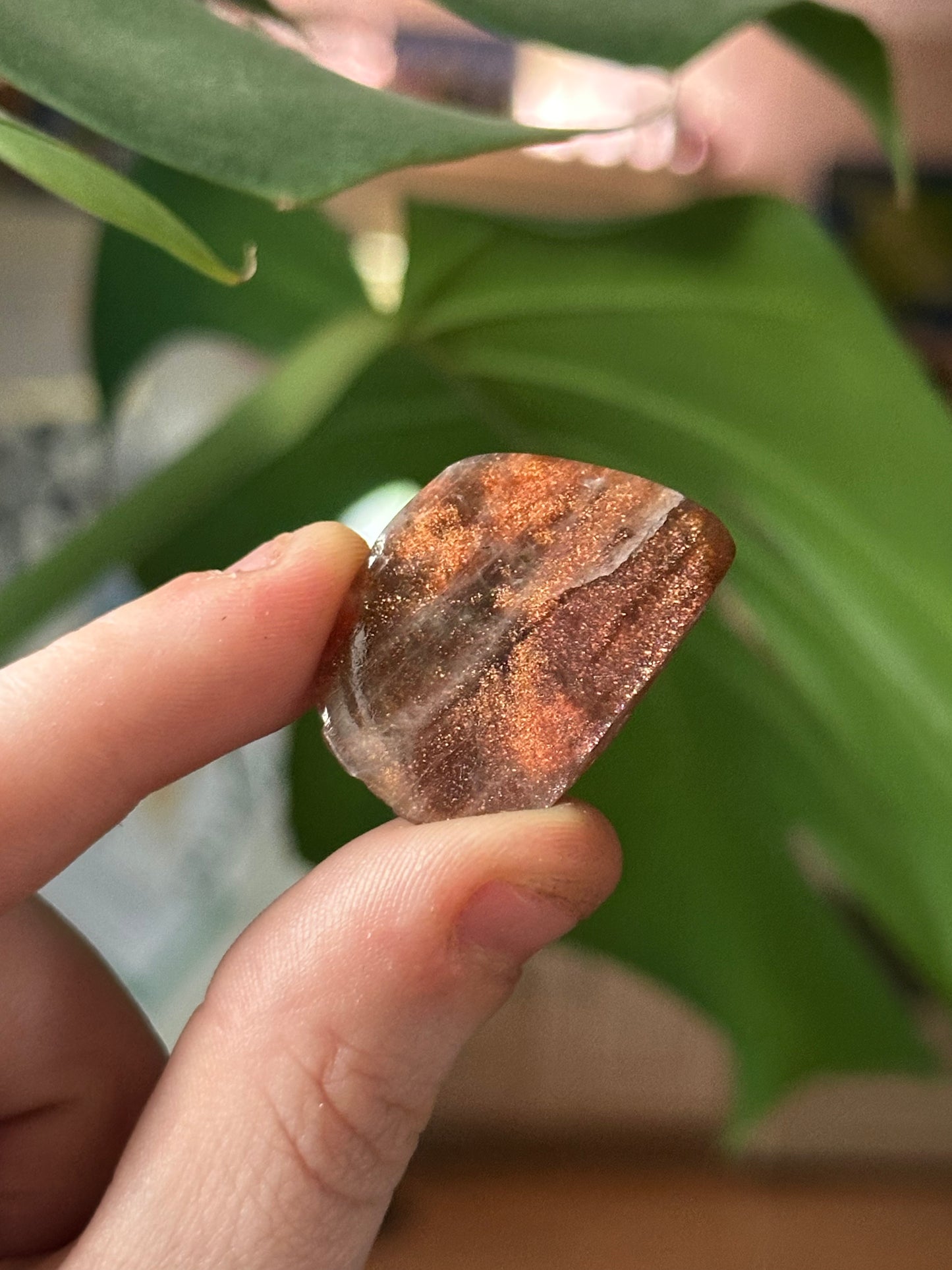 6.22g Half-Polished Purple Haze Sunstone 5