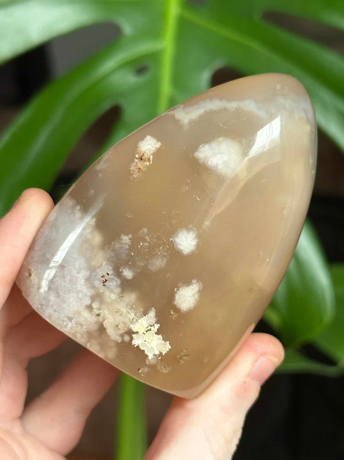 Flower Agate Freeform