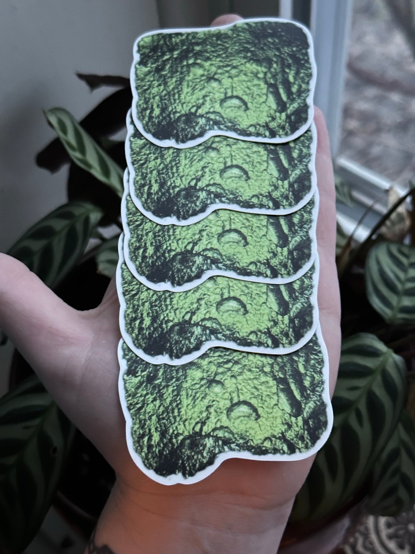 5-Pack of 3” Waterproof Vinyl Moldavite Decal Stickers