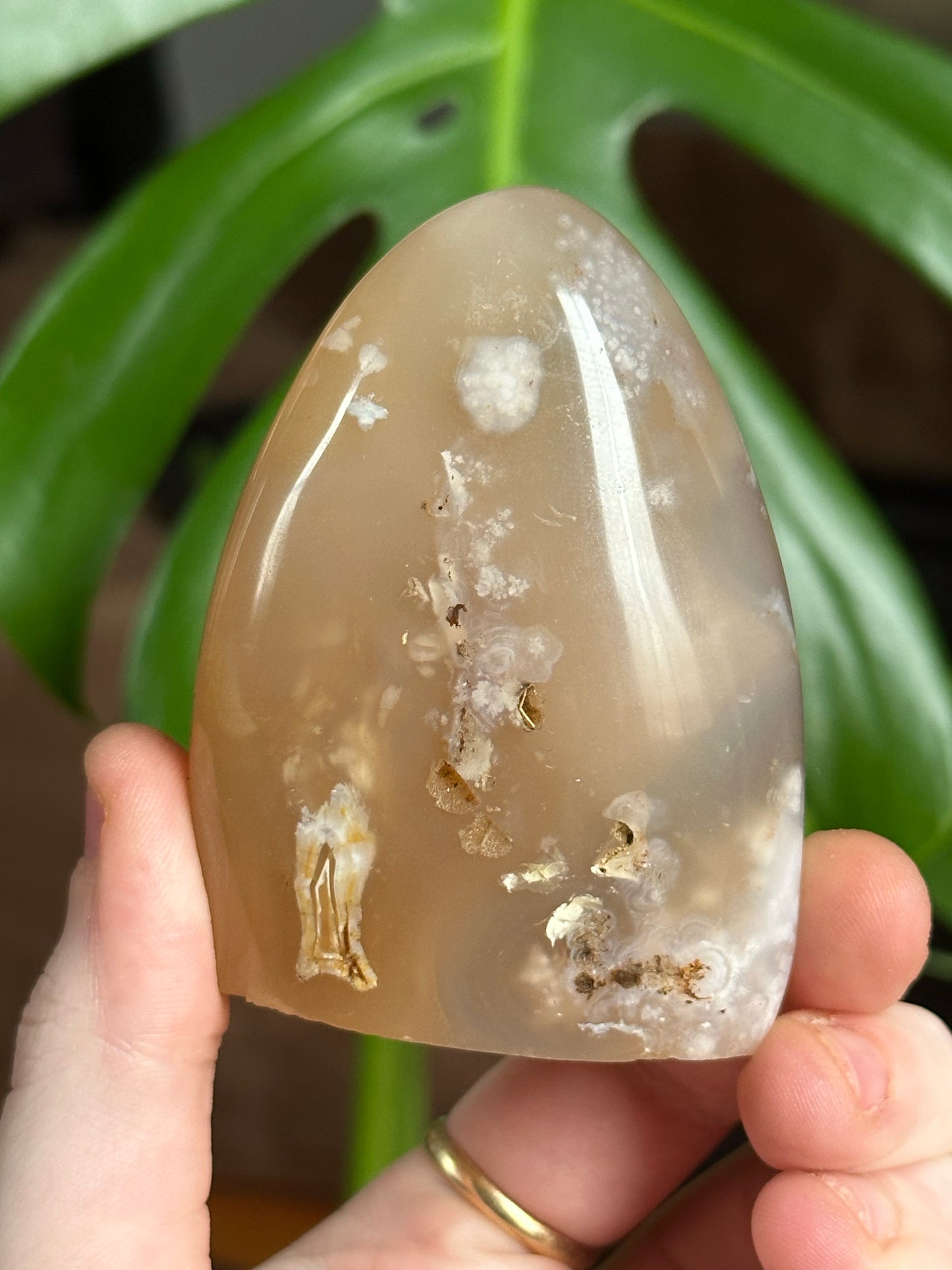 Flower Agate Freeform