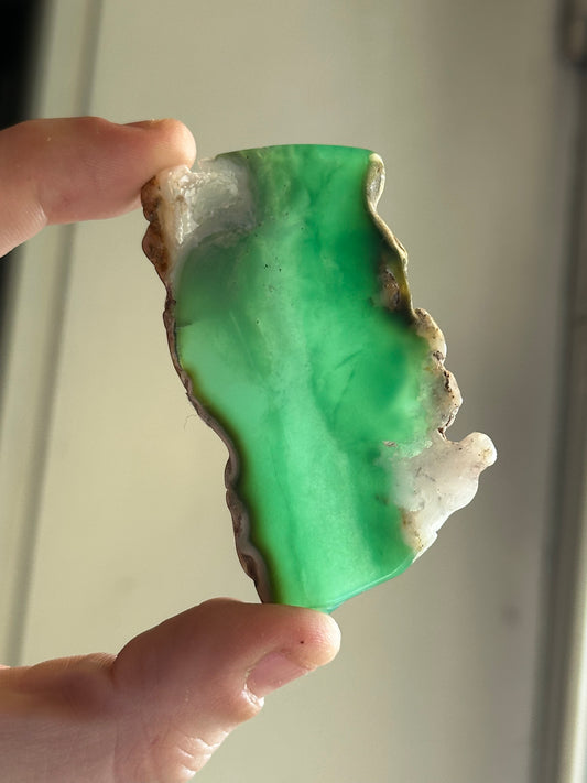 20.65g Polished Australian Gem Chrysoprase Slice 2