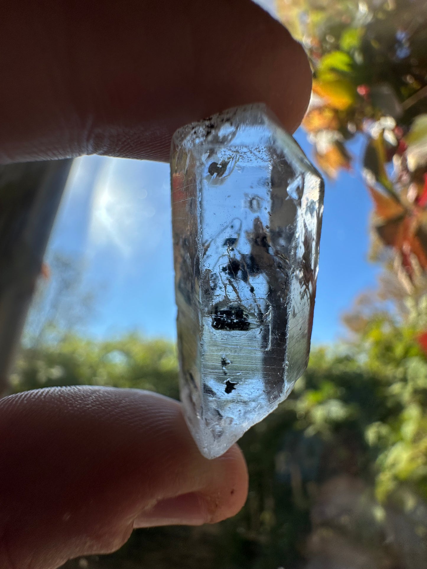 10.71g Clear Quartz Crystal w/ MOBILE Enhydro Inclusion