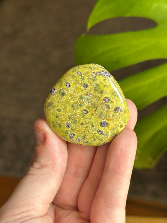 One (1) “Atlantisite” Stichtite in Serpentine Flat Polished Palmstone (randomly selected)