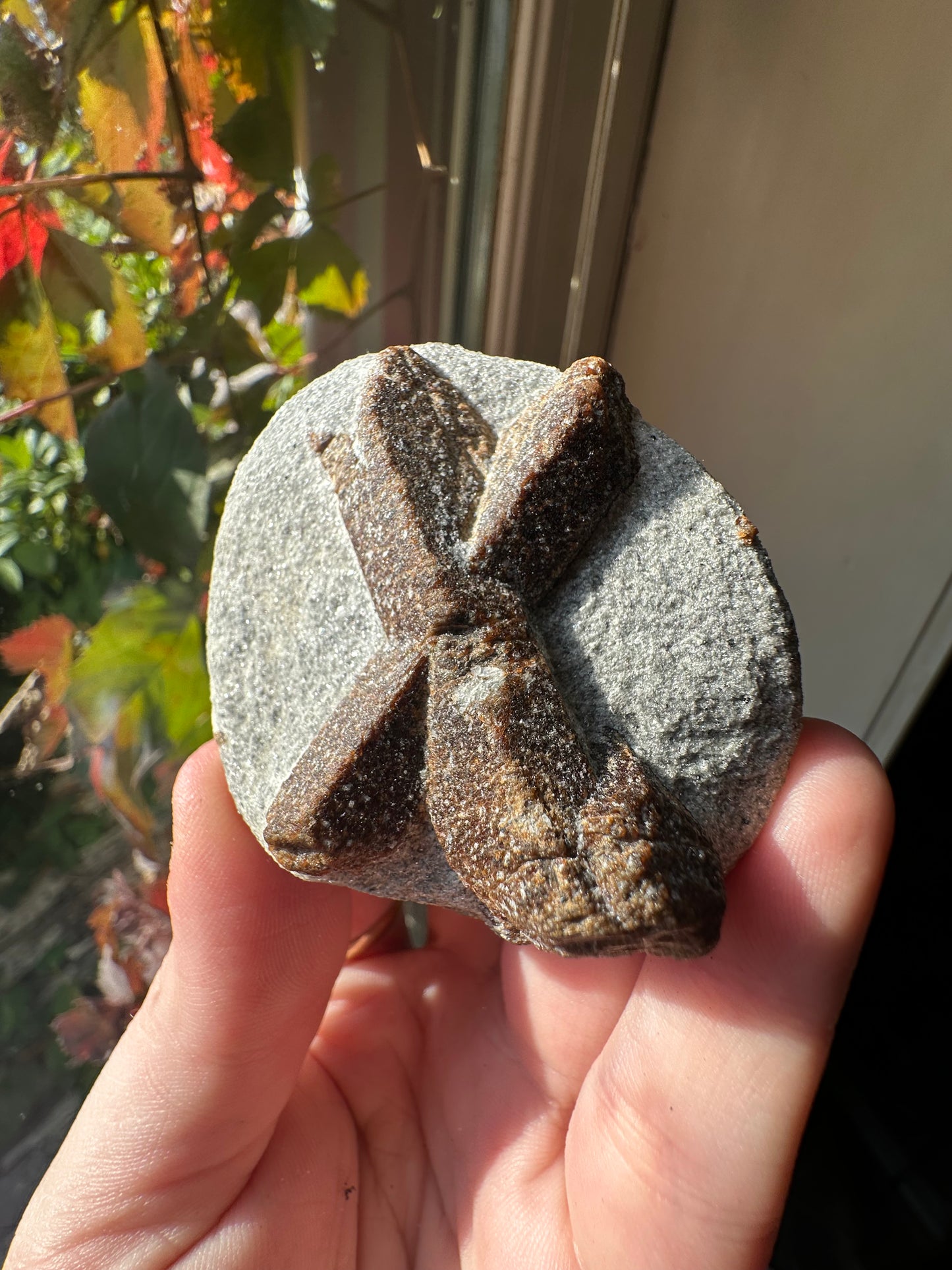 138.2g Rare “St. Andrew’s Cross” Staurolite in Sparkling Mica Schist Matrix
