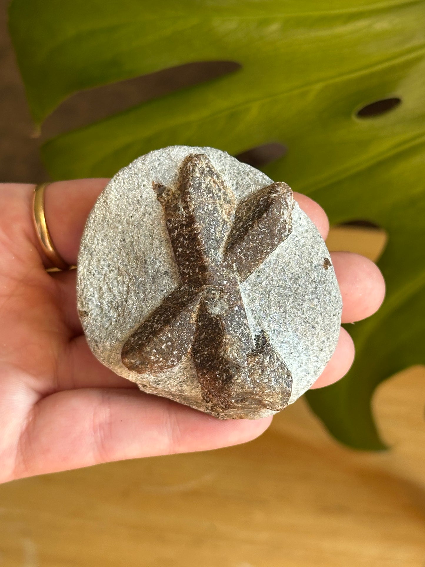 138.2g Rare “St. Andrew’s Cross” Staurolite in Sparkling Mica Schist Matrix