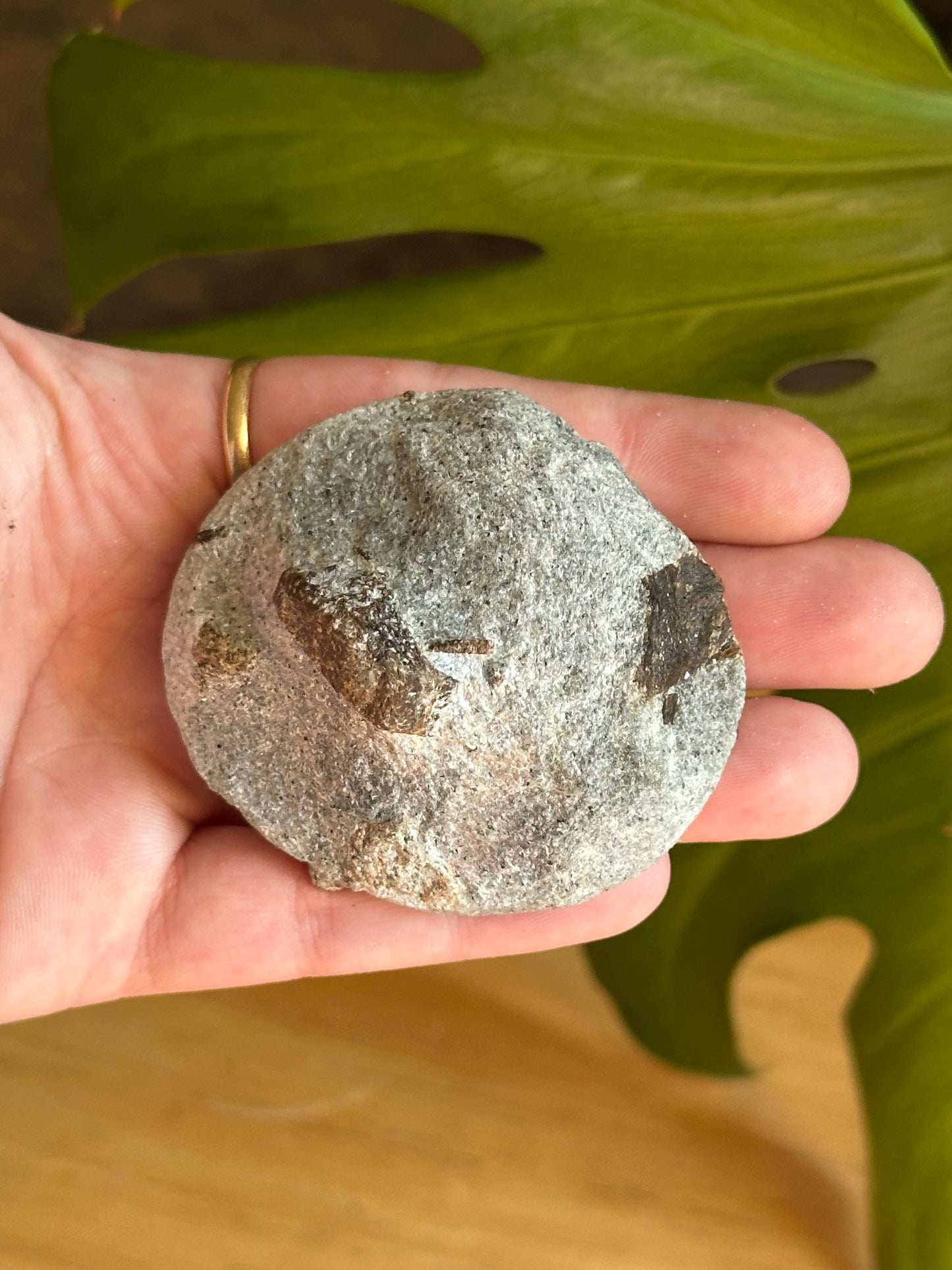 138.2g Rare “St. Andrew’s Cross” Staurolite in Sparkling Mica Schist Matrix