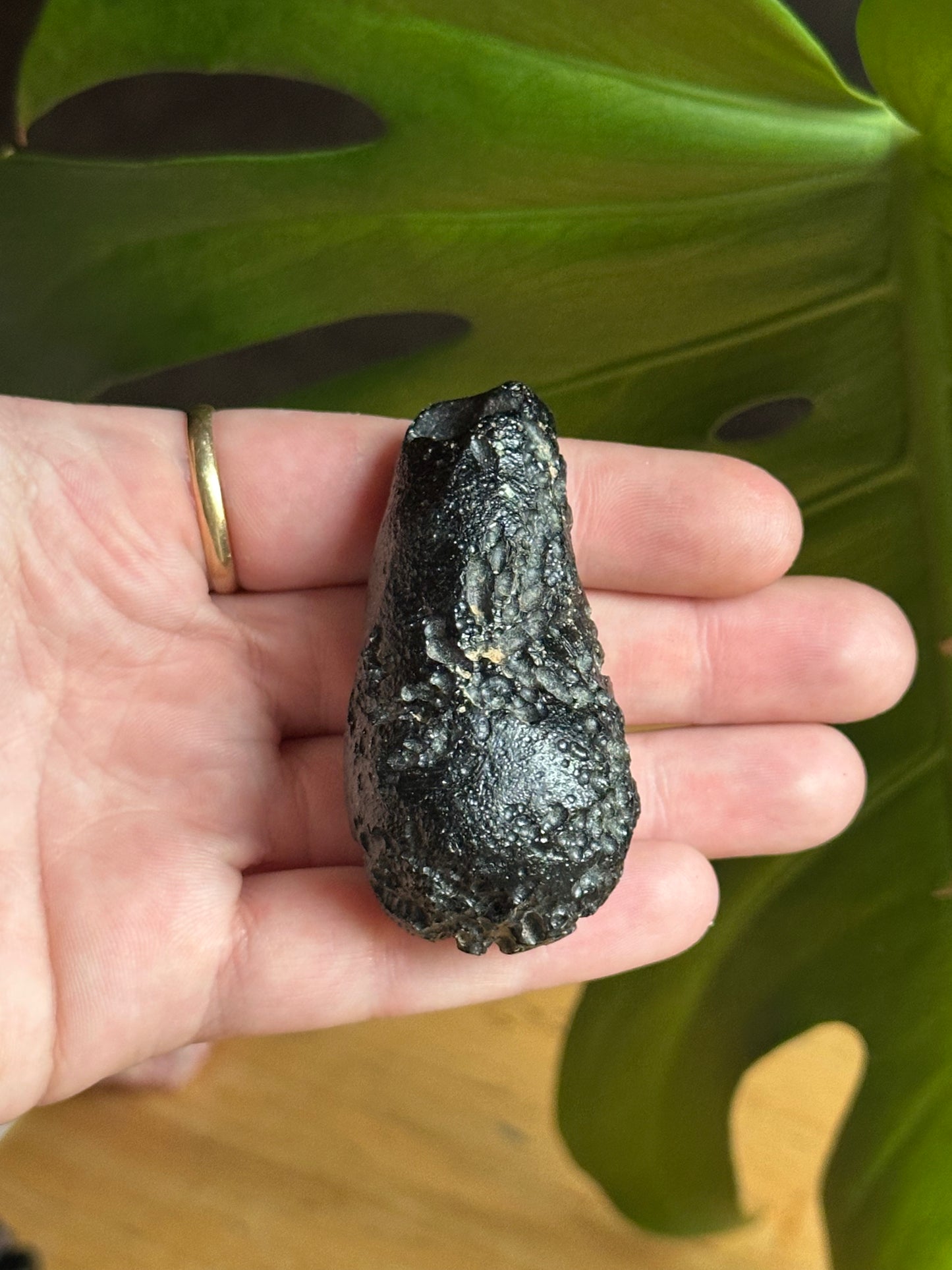 54.95g Raw Natural Drop-Shaped Indochinite Black Tektite