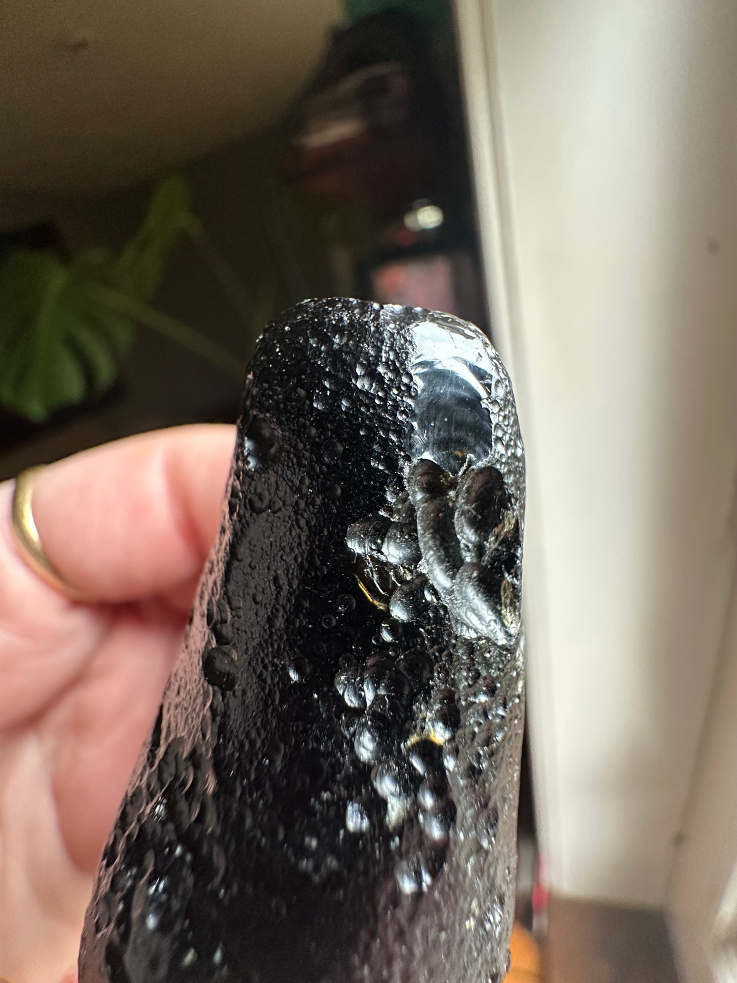 54.95g Raw Natural Drop-Shaped Indochinite Black Tektite