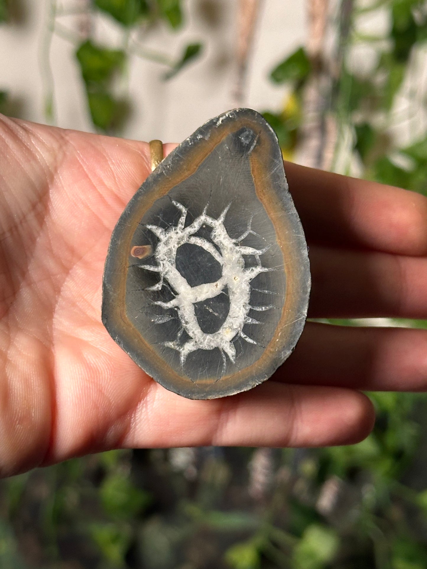 Half-Polished Septarian Nodule 4