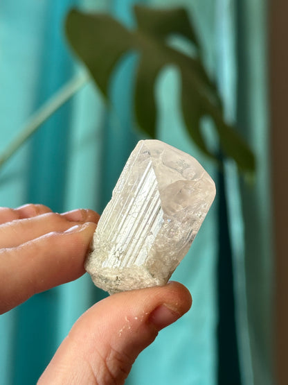 21.1g Raw Danburite Crystal