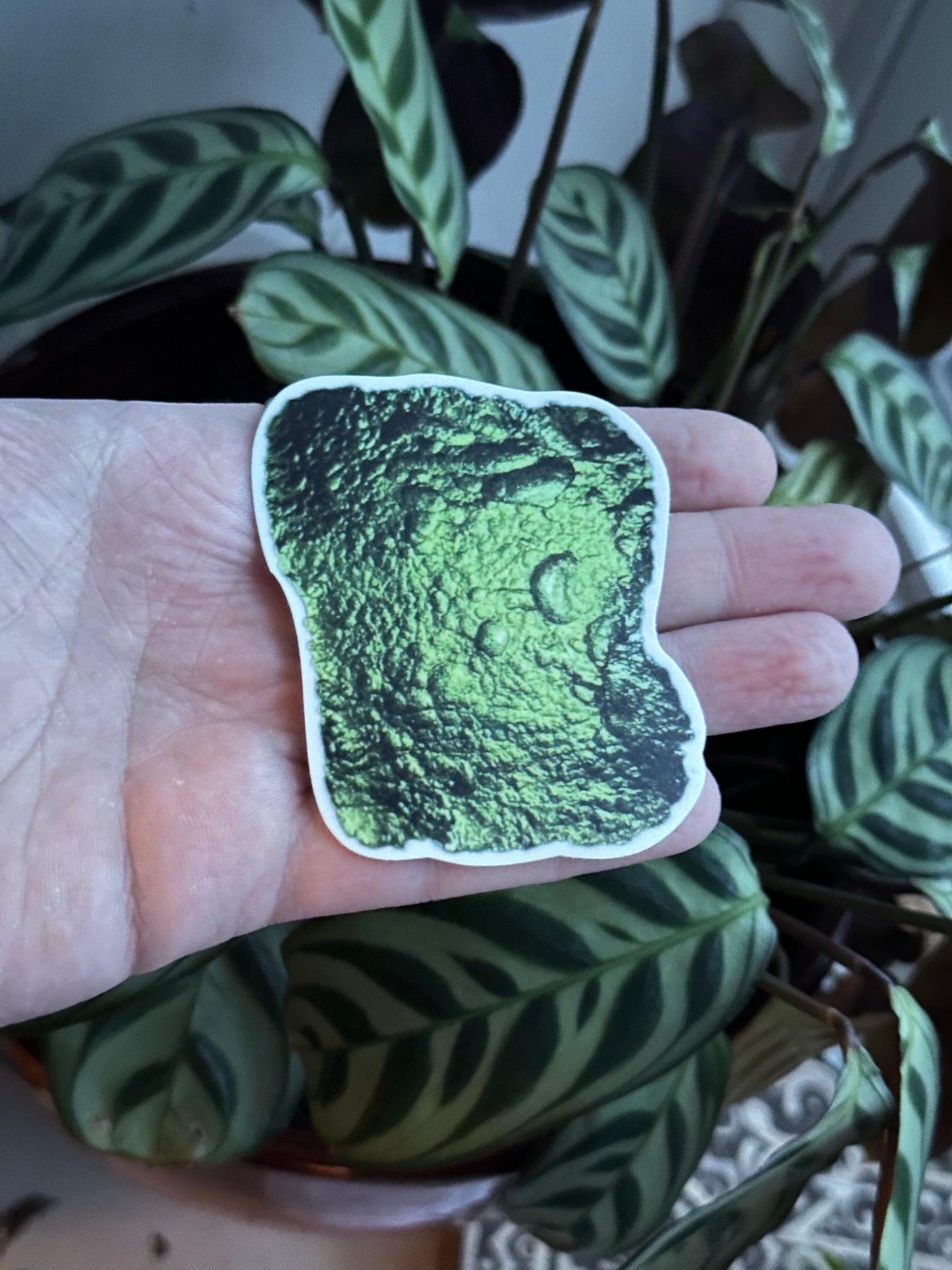 5-Pack of 3” Waterproof Vinyl Moldavite Decal Stickers